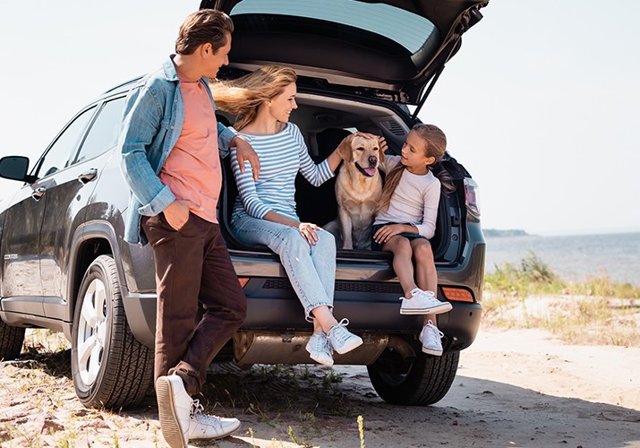 PetInsurance 715x500px