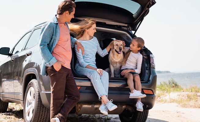 PetInsurance 900x550px